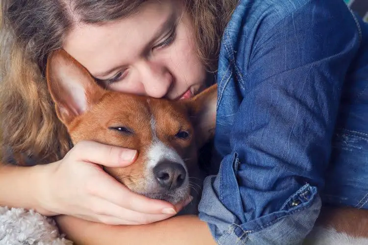 signs a dog is dying help your dog through it
