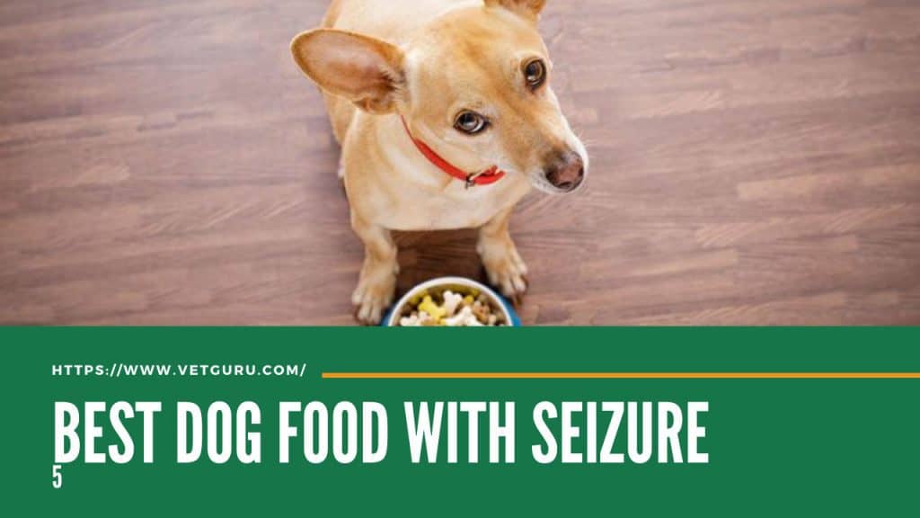 Best Dog Food For Seizure [Reviews 2021]