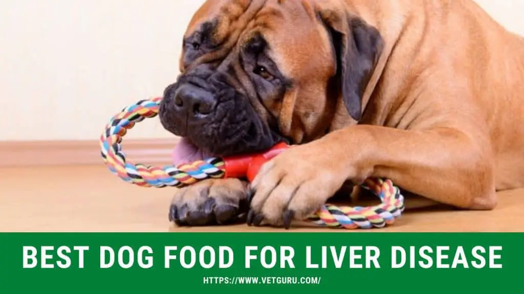 best-dog-food-for-liver-disease-reviewed-in-2021