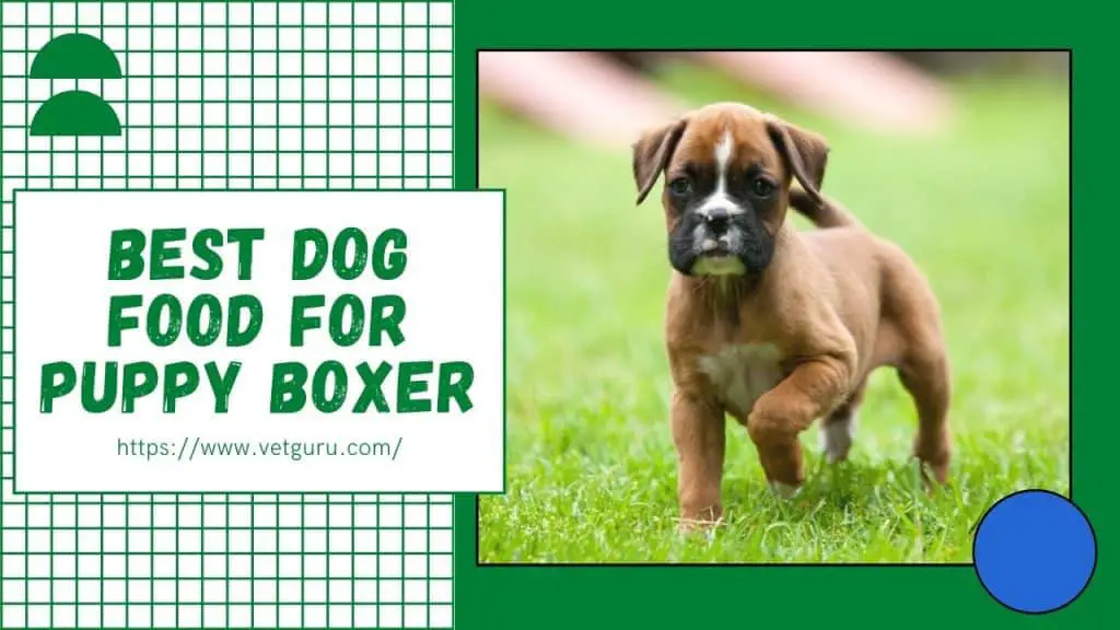 Best Food for Boxer Puppies: A Comprehensive Guide to Nutrition