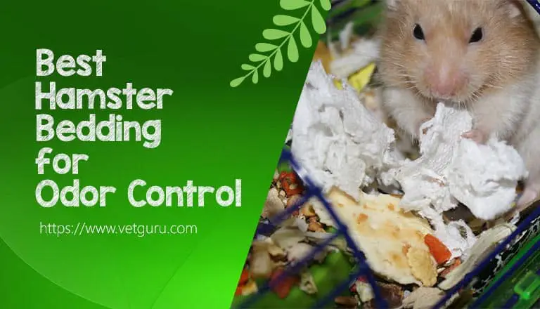 Hamster Bedding for Odor Control