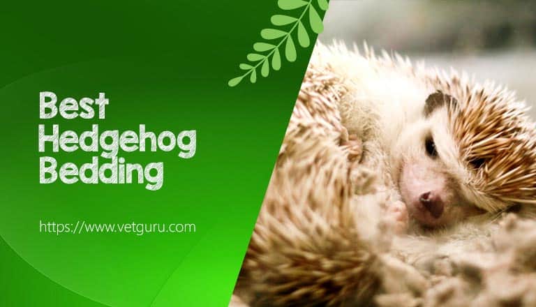 Hedgehog Bedding