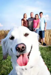family-photo-with-a-doggy