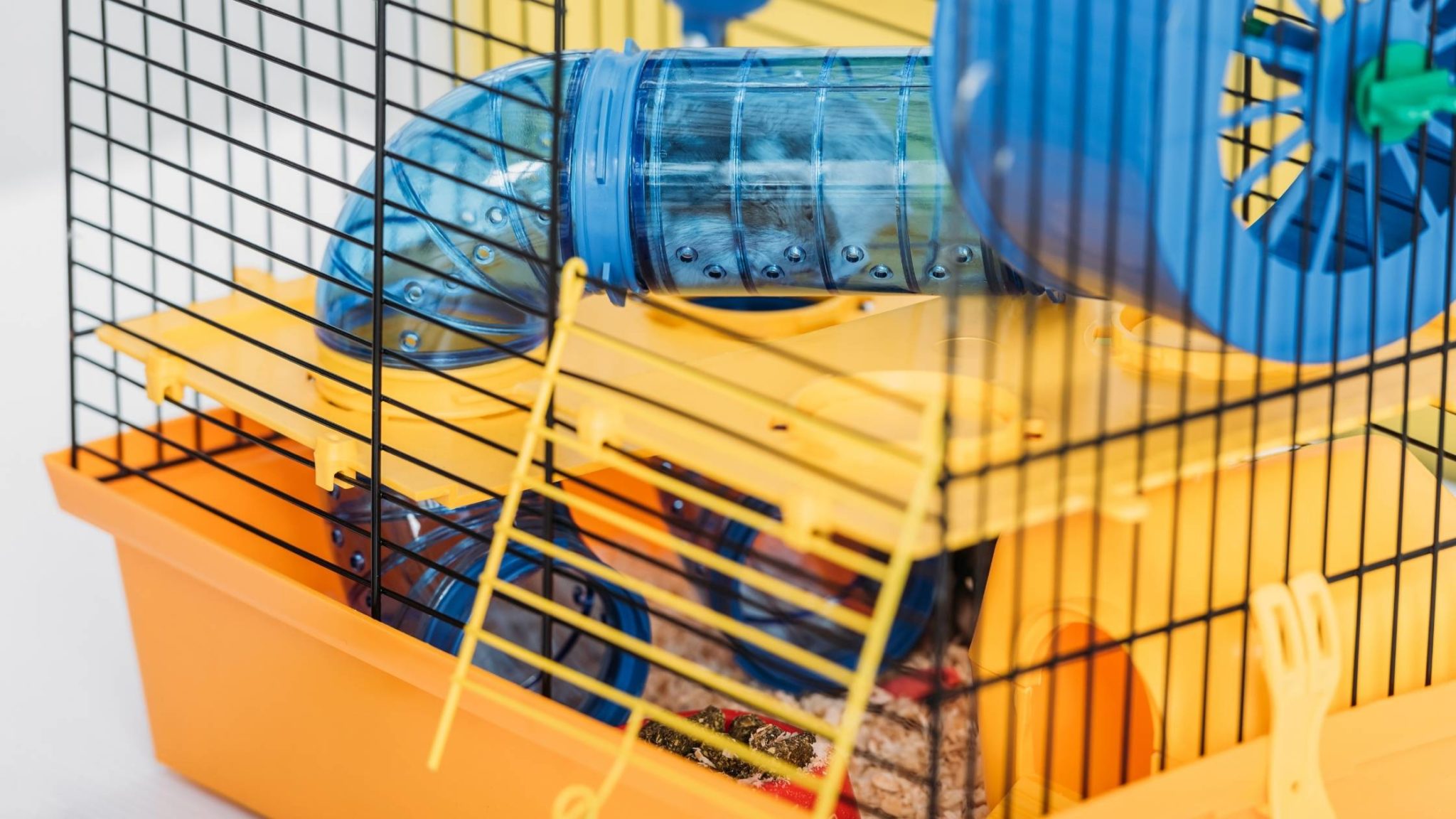 best-teddy-bear-hamster-cage-a-complete-guide