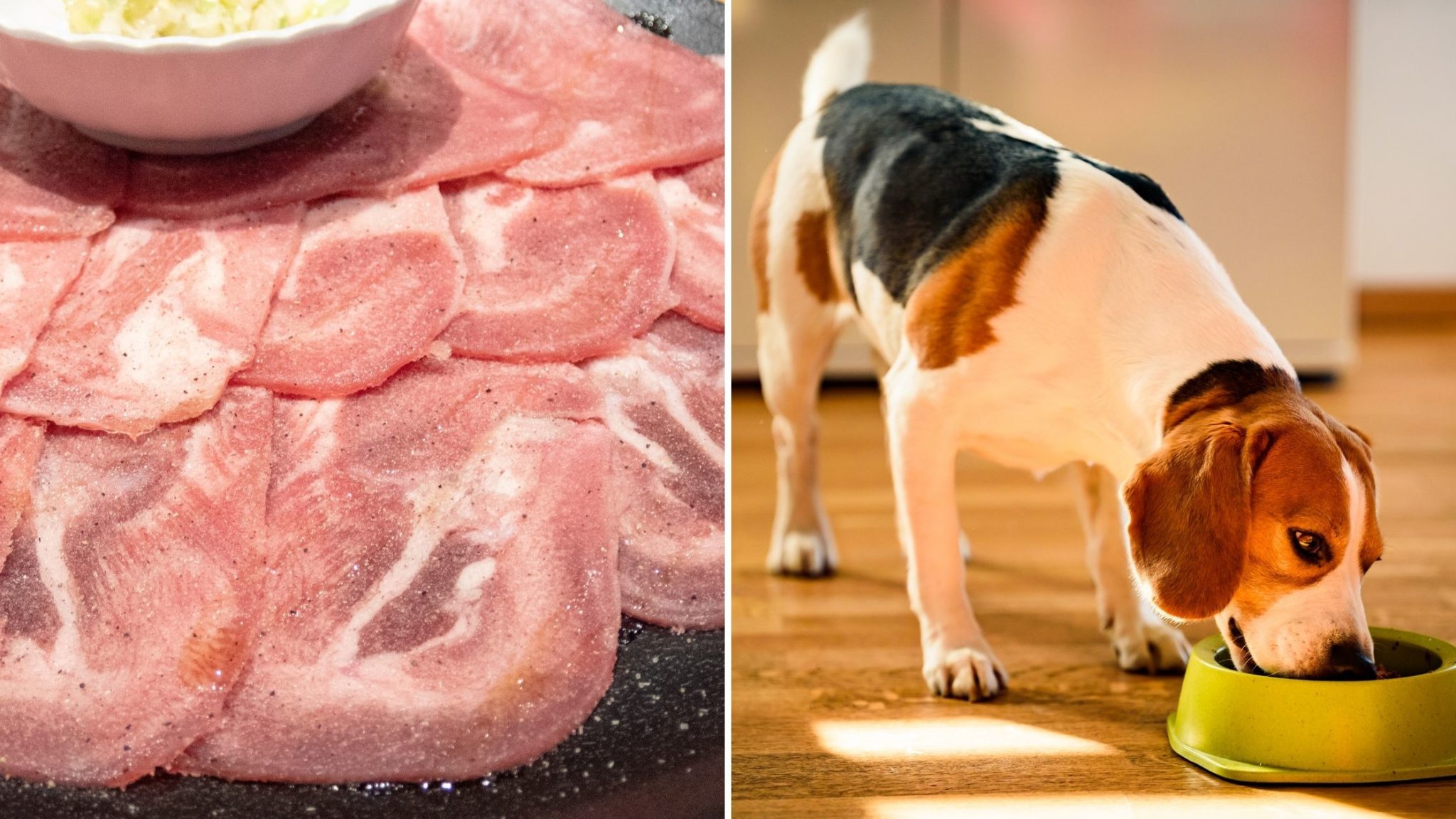 can-dogs-eat-cooked-cow-tongue-is-it-safe