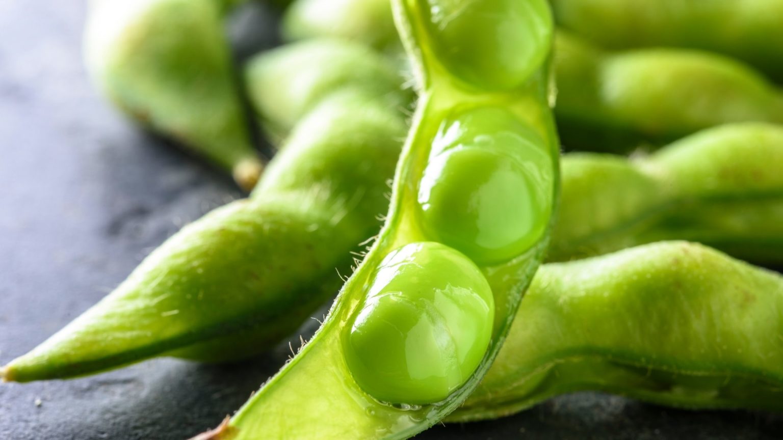 Can Dogs Eat Edamame?