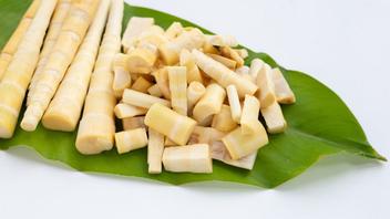 can dogs eat bamboo shoots