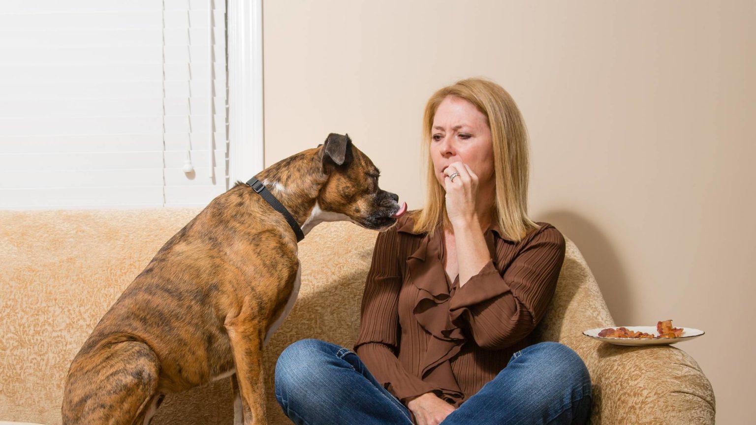 Can Dogs Eat Prosciutto and Other Cured Meats?