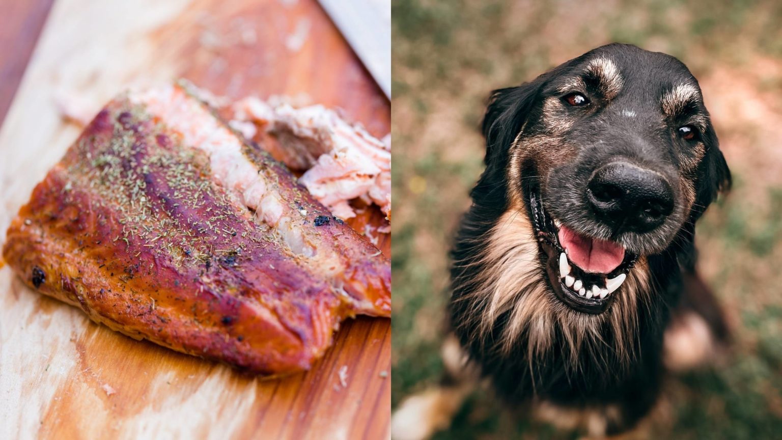 Can Dogs Eat Prosciutto and Other Cured Meats?